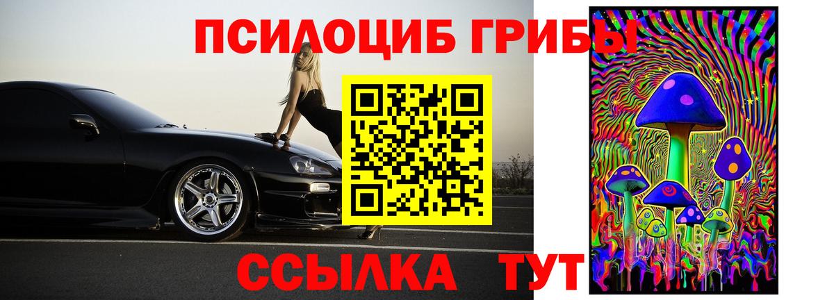 Галлюциногенные грибы MAGIC MUSHROOMS  Вход с VPN  Вятские Поляны 